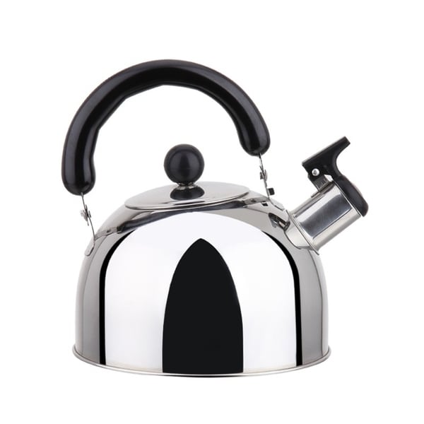 Bouilloire à thé en acier inoxydable avec poignée, compatible induction