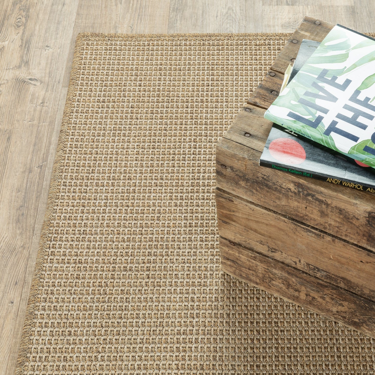 Tapis d'intérieur/extérieur texturé uni marron clair Style Haven Veranda
