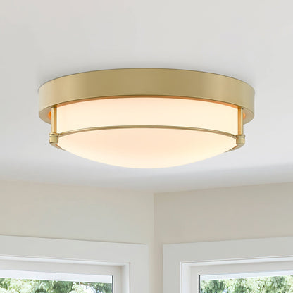 Plafonnier moderne à 2 lumières et 12 pouces