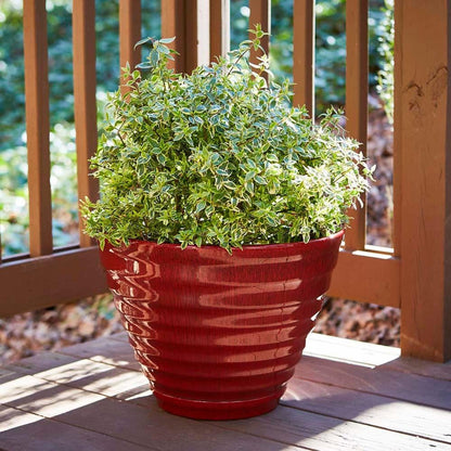 Jardinière en forme de ruche pour patio sud