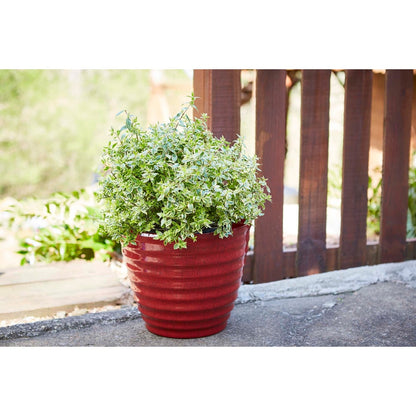 Jardinière en forme de ruche pour patio sud