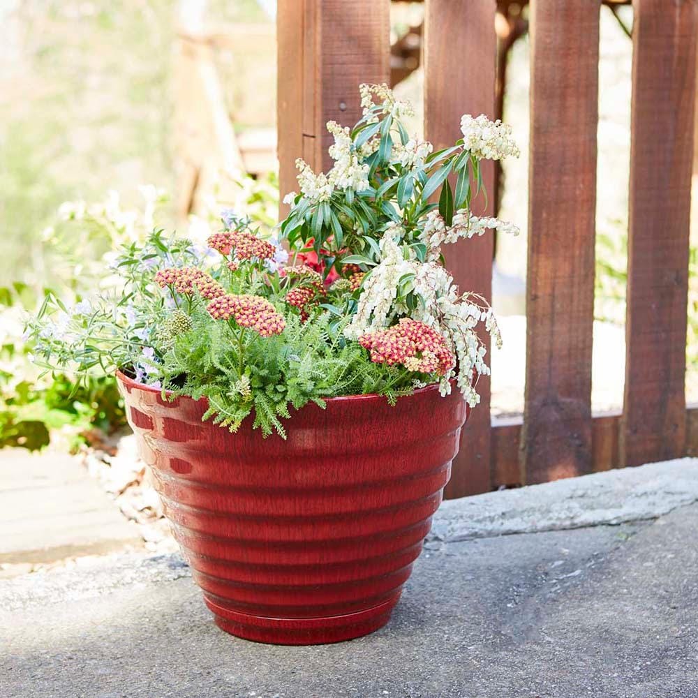 Jardinière en forme de ruche pour patio sud