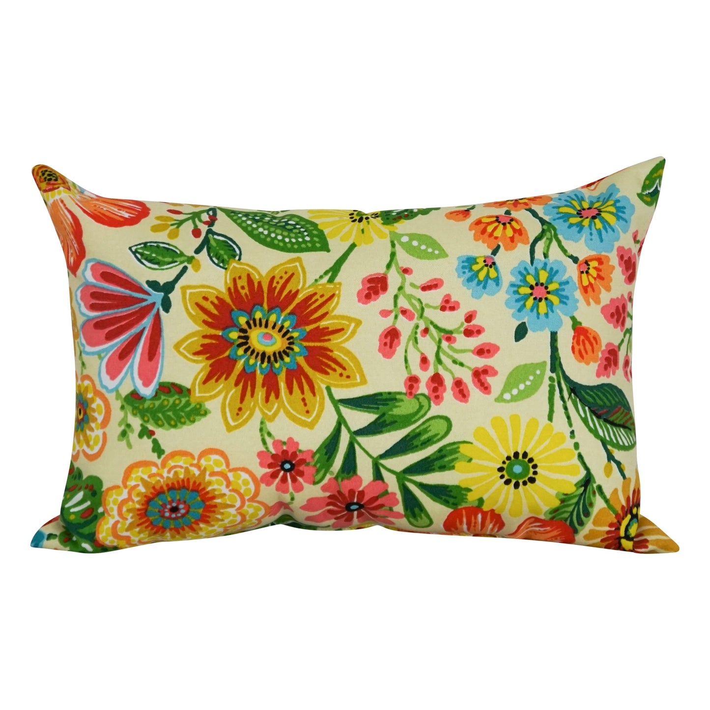 Coussins d'extérieur 19 pouces x 11 pouces (lot de 2, motifs multiples) - 19 x 11