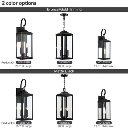 Grand luminaire suspendu d'extérieur transitionnel noir à 2 lumières avec verre transparent - 20 po de hauteur