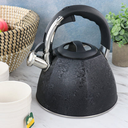 Bouilloire sifflante en acier inoxydable de 3 litres