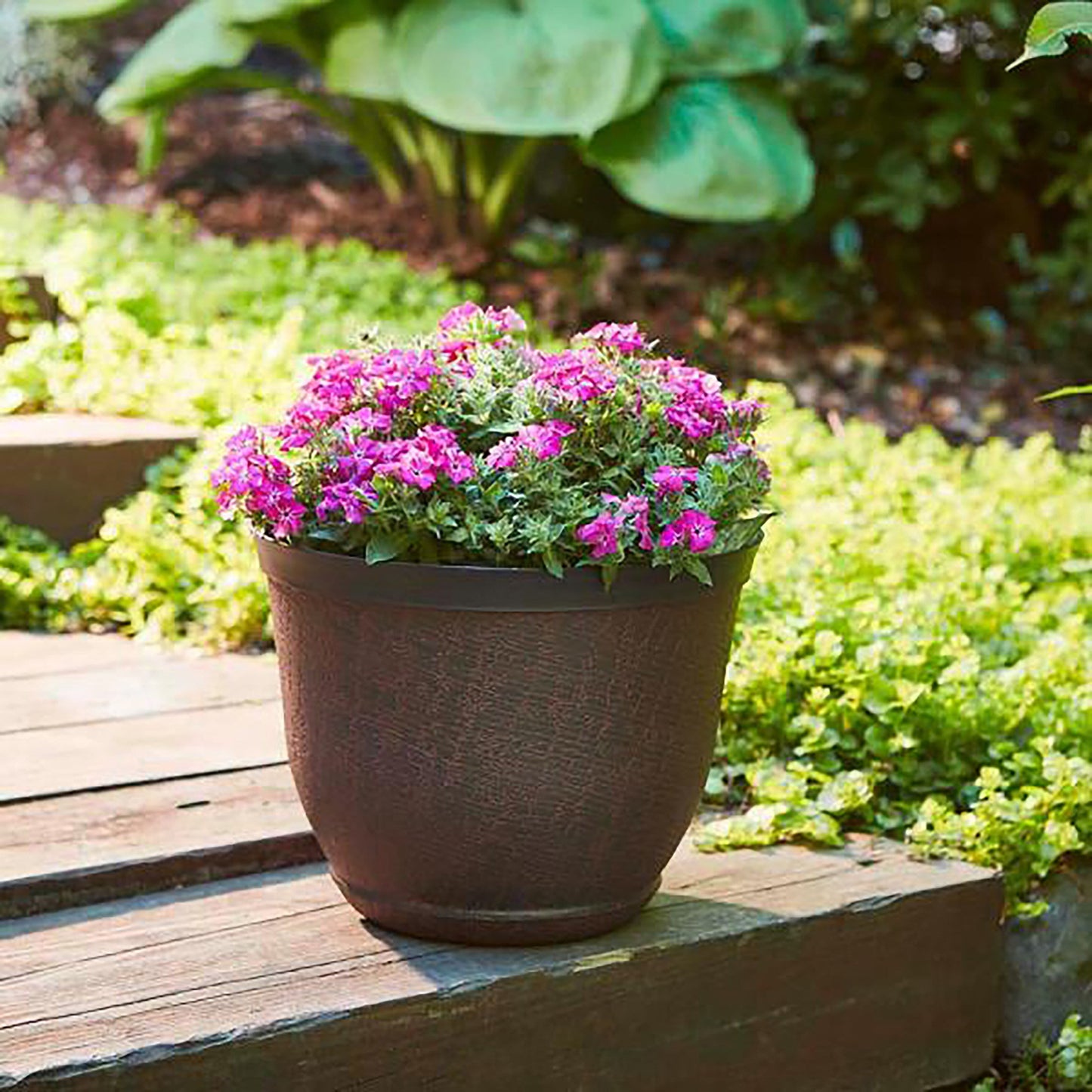 Jardinière Cronus pour patio sud