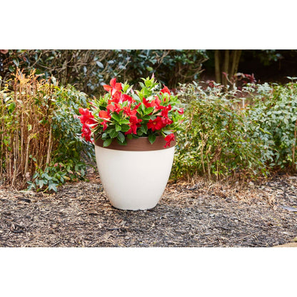 Jardinière en résine Hornsby de Southern Patio