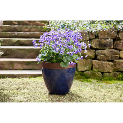 Jardinière en résine Hornsby de Southern Patio