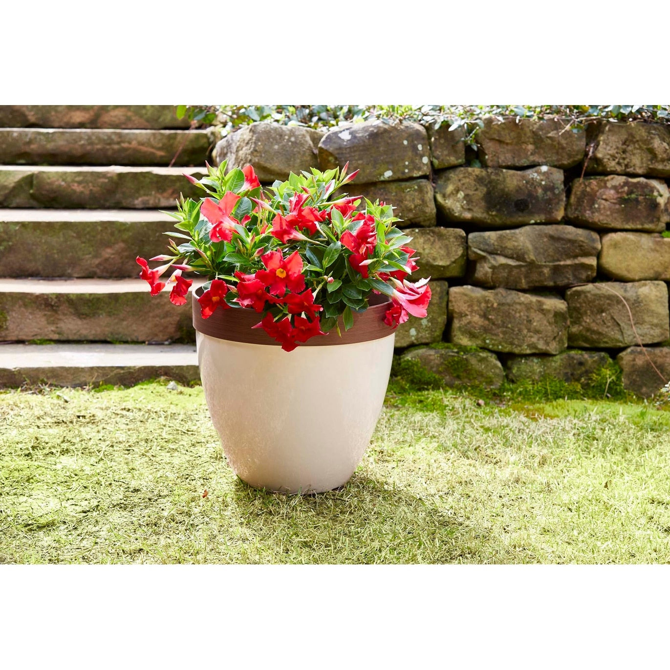 Jardinière en résine Hornsby de Southern Patio
