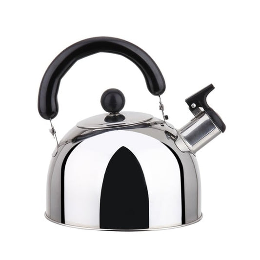 Bouilloire à thé en acier inoxydable avec poignée, compatible induction