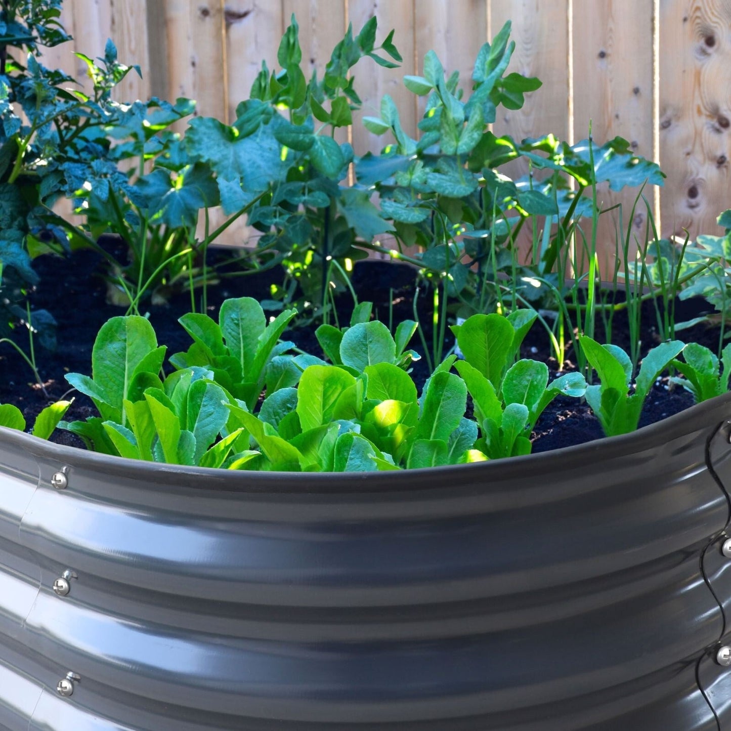 Jardinière surélevée en métal galvanisé VEIKOUS 8 pi x 2 pi x 1 pi, jardinière 9 en 1 pour le jardinage extérieur