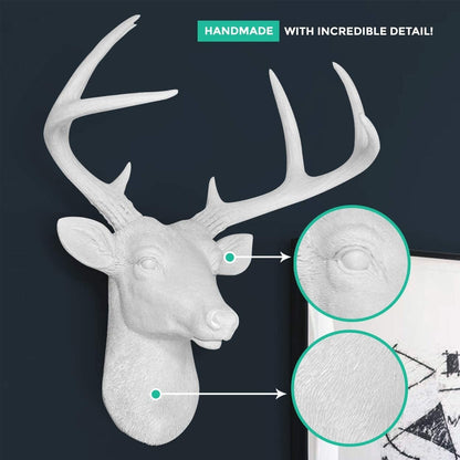 Tête de cerf blanc des charmeurs muraux